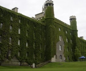 academia-ivy-building